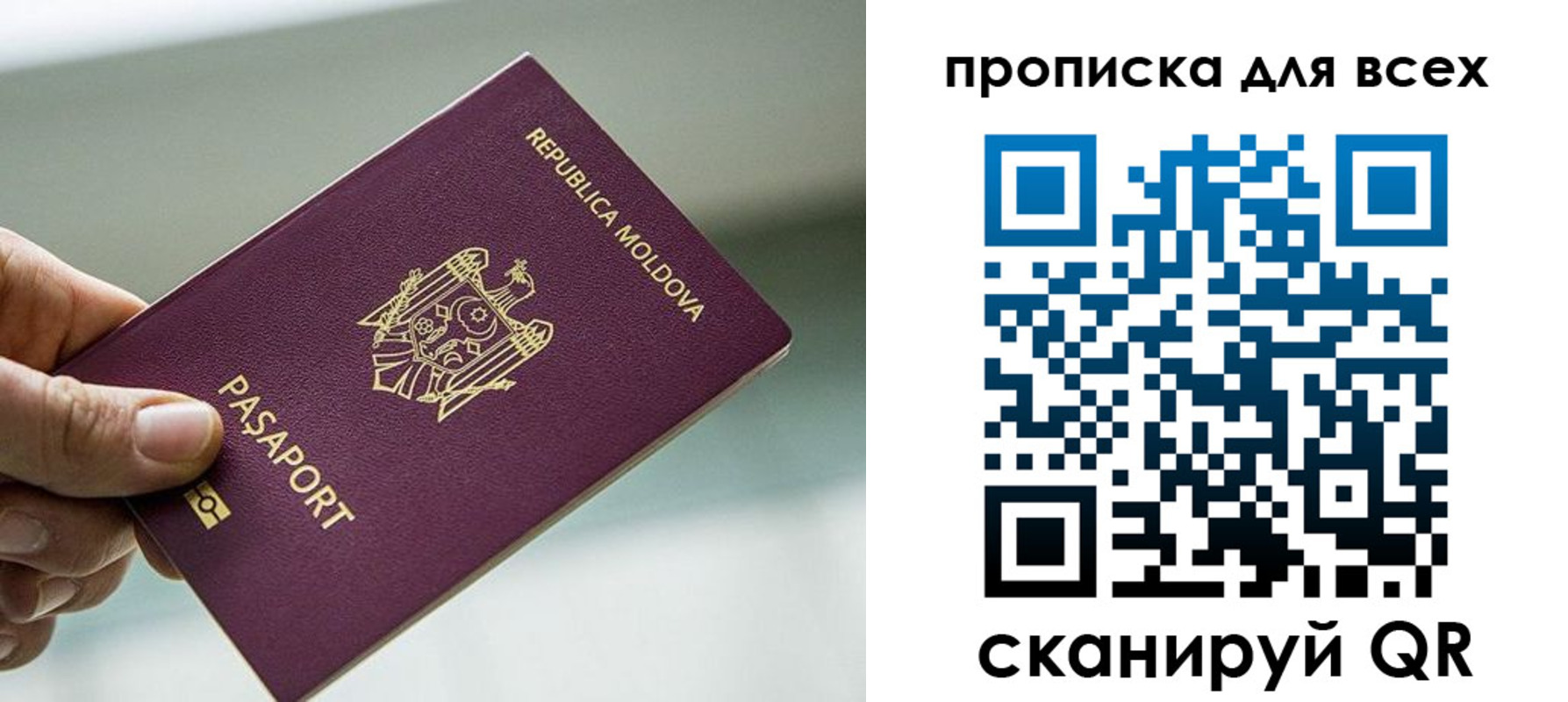 прописка иностранных граждан в Ярославле